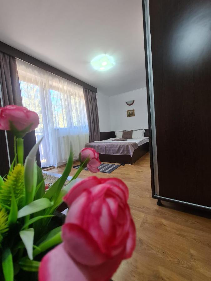 Casa Teleferic Hotel Busteni Ngoại thất bức ảnh