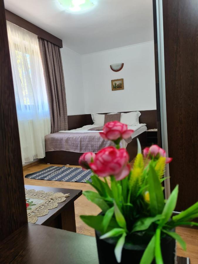 Casa Teleferic Hotel Busteni Ngoại thất bức ảnh